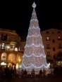 Christmas tree in Piazza Portanova