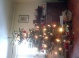xmas-Tree with presents